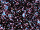 Une image extraite d'une simulation montrant la réionisation de l'Univers observable sous l'influence du rayonnement ultraviolet des galaxies, quelques centaines de millions d'années après la recombinaison et l'émission du rayonnement fossile. Les zones ionisées par le rayonnement UV, et qui sont devenues translucides, sont en bleu. Les régions opaques aux UV, contenant encore de l'hydrogène et de l'hélium neutres, sont en noir. Le front d'ionisation est quant à lui représenté en rouge et blanc. Une vidéo complète de cette simulation se trouve sur le site de son auteur, Marcelo Alvarez. © M. Alvarez, R. Kaehler et T. Abel